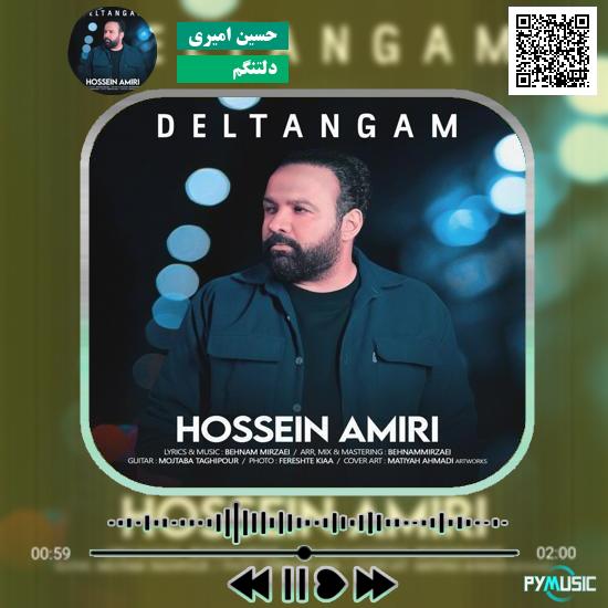 دانلود آهنگ دلتنگم حسین امیری